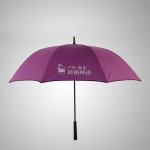 自動商務(wù)傘超大高爾夫傘加固雙層抗風(fēng)戶外超大雨傘男士長柄雙人傘